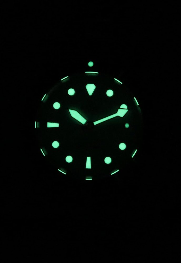 RATIO FreeDiver Sapphire Crystal Diver Watch Japanese Automatic Dive Watch 200m Water Resistant Diving Watches for Men